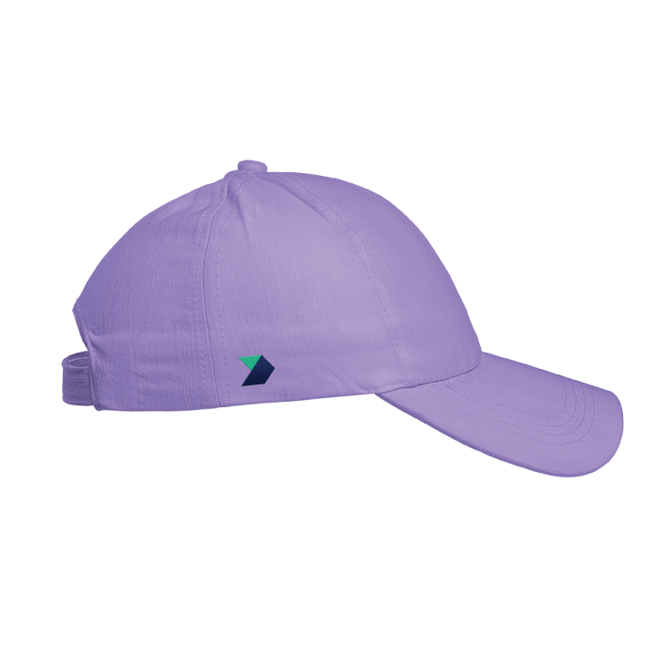 We The People (Embroidered Purple Hat)