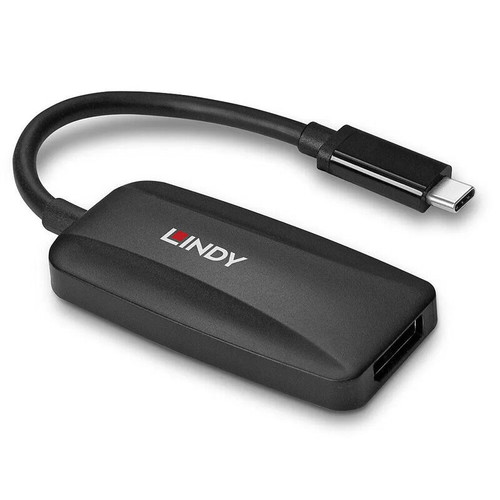 Lindy USB to DP Converter