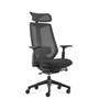 Rapidline Titan Executive Ergonomic Chair - Black