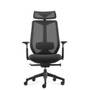 Rapidline Titan Executive Ergonomic Chair - Black