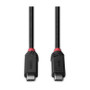 Lindy 1m USB4 240W TypeC CBL