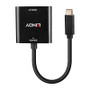 Lindy USB (C) to DP Converter