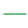 Staedtler Noris Club MAXI Learner Colour Pencil - 12 Pack - Green