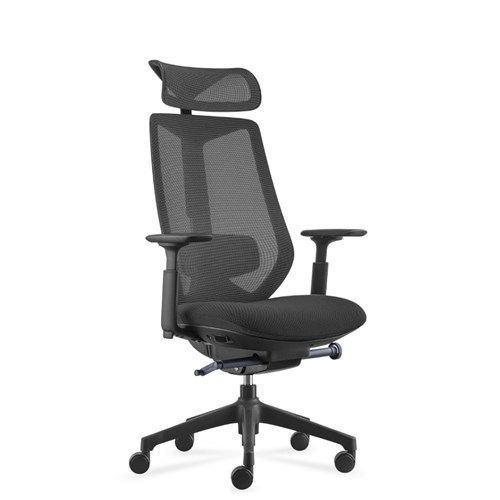 Rapidline Titan Executive Ergonomic Chair - Black