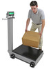 Cardinal Scales 8852F-205 Portable Scale, Electronic, 1000 Lb Capacity, 205 Indicator, NEW Cardinal Scales 8852F-205 Portable Scale, Electronic, 1000 Lb Capacity, 205 Indicator, NEW