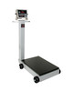 Cardinal Scales 5852F-190 Portable Scale, Electronic, 500 Lb Capacity, 190 Indicator