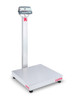 Ohaus D52P500RQV3, Column Mount Bench Scale, 1,000 lb x 0.2 lb, NTEP