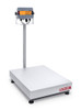 OHAUS Defender™ 3000 Hybrid - i-D33 Bench Scale D33XW300B1X2 600lb x 0.2lb (0.1lb), NTEP 30685196 OHAUS Defender™ 3000 Hybrid - i-D33 Bench Scale D33XW300B1X2 600lb x 0.2lb (0.1lb), NTEP 30685196