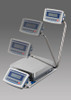 A&D GX-42001L High Capacity Lab Balance, Dual Range with Swing Arm, 42 kg x 0.5 g