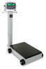 Cardinal Scales 5852F-185B Portable Scale, Electronic, 500 Lb Capacity, 185B Indicator, NEW