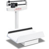 Detecto 451 Mechanical Baby Scale with Weigh Beam and Measuring Tape 65 kg x 20 g (KG ONLY)