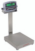 Cardinal EB-60-190, Stainless Steel Washdown Bench Scale, 60 lb x 0.02 lb, NTEP