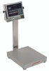 Cardinal EB-150-210, Stainless Steel Bench Scale & Indicator 150lb x 0.05lb NTEP