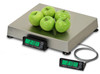 Detecto APS160, Enterprise POS/Logistic Scale, 160 oz x 0.1 oz, 10in x 10in, NTEP