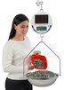 Detecto, Digital Solar Hanging Scale, 30 lb x 0.01 lb, NTEP
