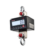 Rice Lake RL101-6K BTH Below-The-Hook Crane Scale – 6000 lb Capacity, Multi-Range Precision