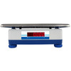 Adam Aqua Washdown Scale ABW 32, 70 lb x 0.01 lb, IP67, Checkweighing, Counting, Rechargeable Battery
