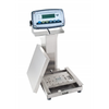 CAS EX-10025, Enduro Extreme Washdown Checkweighing Scale, 25lb x 0.005lb, NTEP