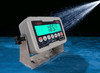 Cardinal, 185, IP66 Rated Waterproof ABS Enclosed Weight Indicator, AC Adaptor