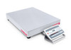 Ohaus D52XW250RTX5, Stainless Steel Low Profile Bench Scale, 500lb x 0.1lb, NTEP
