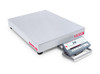 Ohaus D52P250RTX5, Bench Scale w/ Front Mount Display, 500 lb x 0.1 lb, NTEP