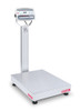 Ohaus D52XW125RTX2, Multifunctional Washdown Bench Scale, 250 lb x 0.05 lb, NTEP