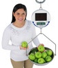 Detecto, Digital Solar Hanging Scale, 30 lb x 0.01 lb, NTEP