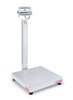 Ohaus D52XW250RQV3, Washdown Bench Scale w/ Column, 500 lb x 0.1 lb, NTEP