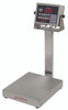 Cardinal EB-60-210, Stainless Steel Bench Scale & Indicator, 60lb x 0.02lb, NTEP