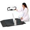 Detecto 6550 Portable Wheelchair Scale 1,000 lb x 0.2 lb, BMI, RS232