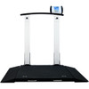 Detecto 6560 Portable Wheelchair Scale with Column 1,000 lb x 0.2 lb, BMI, RS232