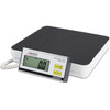 Detecto DR550C Portable Compact Digital Healthcare Scale 550 lb x 0.2 lb with DC Adapter