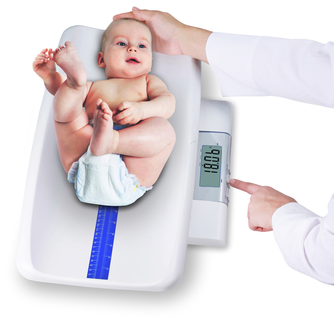 Cardinal Scales DLM Digital Length Measuring Device Scale Warehouse and More