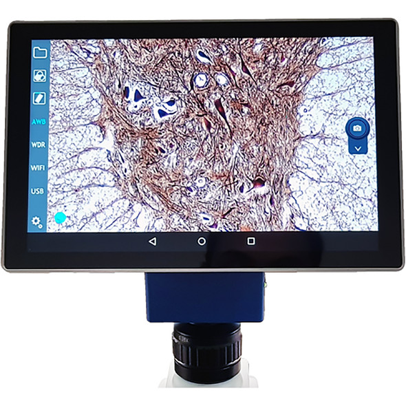 Velab VE-SCOPEPAD 300 10.1" Tablet, Integrated 5.0 MP Camera, USB, mini USB and HDMI ports for Prime Microscopes