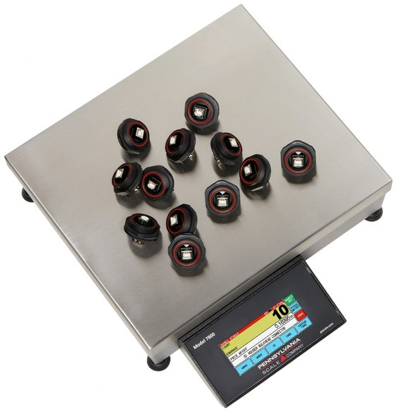 Pennsylvania Scale 7800-10HR Count/Weigh Scale, 10 lb x 0.0005 lb, 12 x 14 in Platform