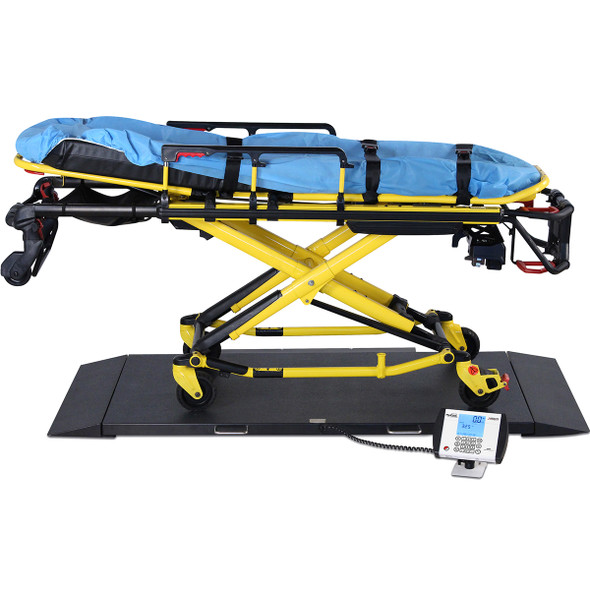 Detecto 8500-AC Portable Stretcher Scale 1,000 lb x 0.2 lb, with AC Adapter