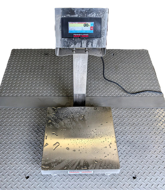 Pennsylvania Scale SS7800MAX SS6500-1216-150 C Washdown Bench Scale, 150 lb x 0.05 lb, 12 x 16 in Platform, IP69K