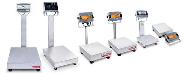 Bench Scales