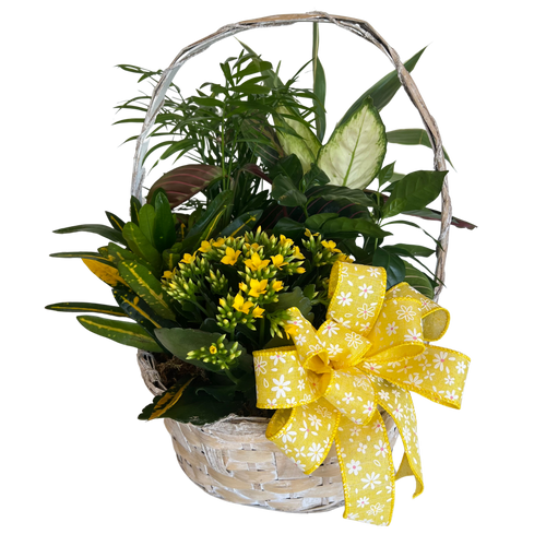 Blooming Planter Basket
