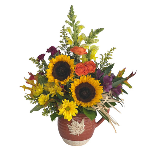 Harvest Pitcher