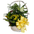 Blooming Planter Basket