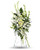 A magnificent symbol of love and peace, this pure white and green spray conveys your sympathy with elegance and grace.