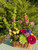 Designer's Choice - Garden Basket
