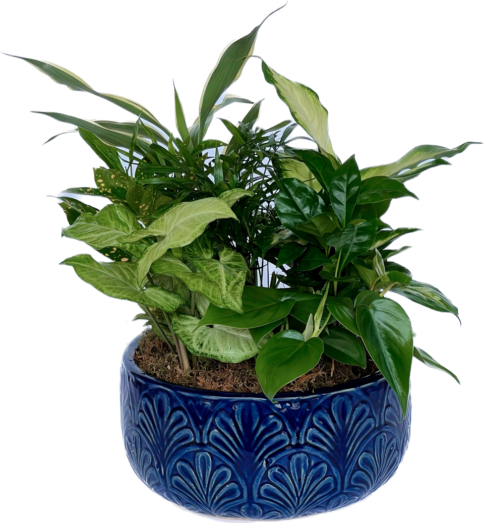 Garden Basket Williamsburg Florist Delivery