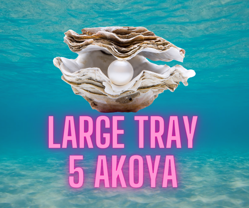 Large Tray