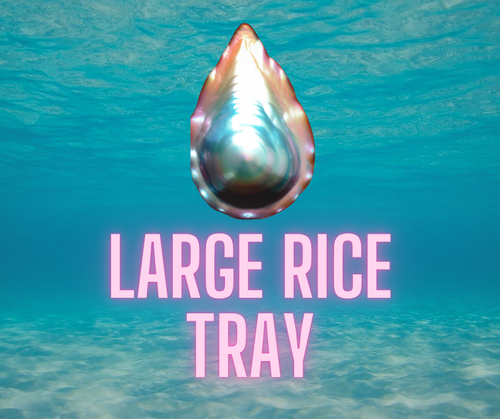 Large Rice Oyster Tray