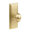 Emtek Emtek 8235 Designer Brass Knobset with Wilshire 7" Non-Keyed Sideplate Lockset, Privacy Set EMTEK-8235-DESIGNER-BRASS-KNOBS