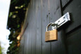 ABUS ABUS 85/50 Solid Brass Padlock, 5/16" Shackle dia., 1 31/32" Width ABUS-85/50