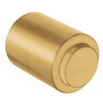 Moen ISO DN0705 Series Drawer Knob Brushed Gold