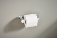 Moen Genta BH3808 Series Denotes Pivoting Toilet Paper Holder